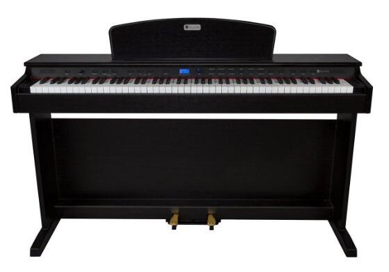 Williams Rhapsody 2 88-Key