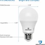 Great Eagle A19 LED Light Bulb