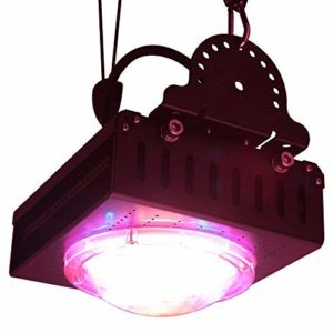 best cob led grow light