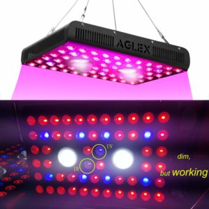 led cob grow light