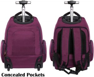 HollyHOME Rolling Backpack