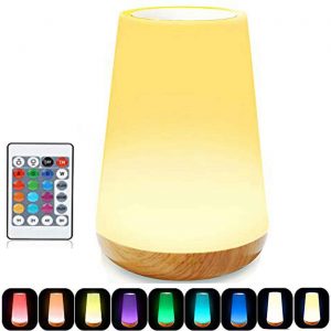 ROYFACC LED Touch Lamp