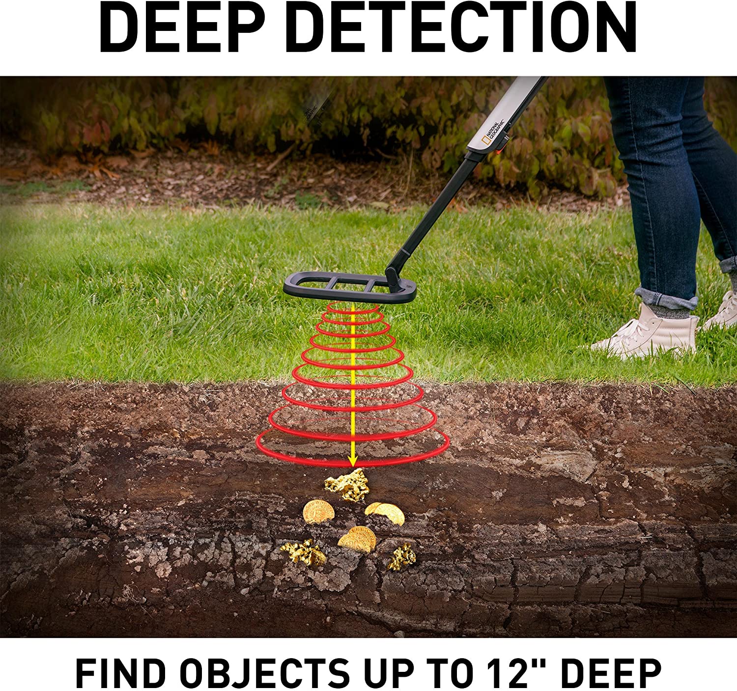 Metal Detector