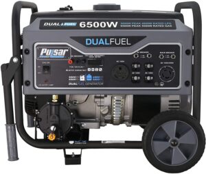 pulsar generator review