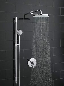 kohler awaken shower head