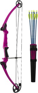 Top 10 Best Compound Bows Under 200 - Brand Review